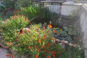 Courtyard cosy cottage