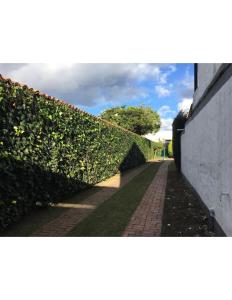 Alojamiento 1A Amplia Habitación Independiente