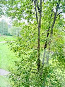 Baltijos apartamentai