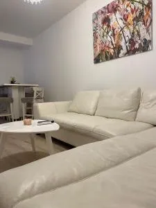 Central City Stay - Apartment Alex - Platičevo