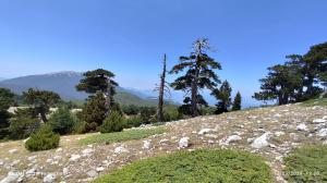 La Perla del Dolcedorme