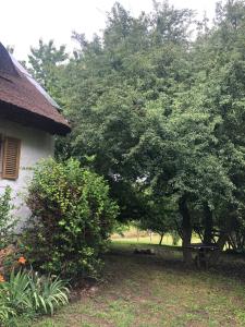 Erdőszéli Parasztház Kékkút