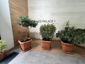 Spacious and Modern Apartment in Central Tbilisi