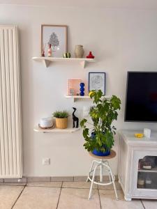 Appartements Duplex Trespoey - SPA - Place de parking : photos des chambres