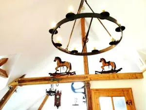 Unik Villa Brunnen Blick mit offenem Dachstuhl - Sankt Andreasberg