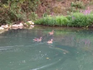 Etno Kuca Car - Leskovac