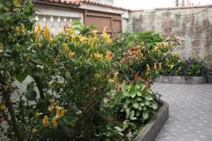 Casa da mãe - Canas