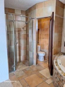 Casa para mas 20 personas con alberca en su interior