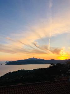 La conchiglia di susy