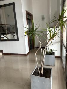 Departamento Gran Mar