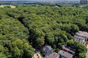 Park-Side Home in Jamaica Plain