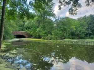 Park-Side Home in Jamaica Plain