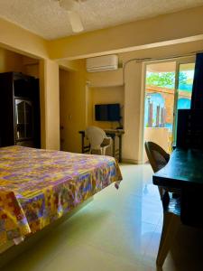 Hotel Zihuatanejo Centro