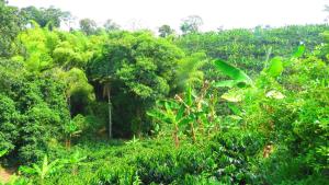 Villa Elena Casa de Campo