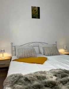 Apartments Old Linden Tree - 卡姆尼克