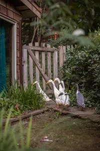 Hidden Creek Hideaway - Ґібсонс