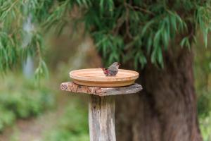 Poppys Place - Denmark