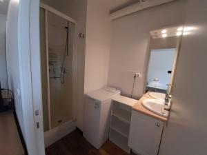Appartements T2 lumineux centre-ville avec Wi-Fi, lave-linge et lave-vaisselle - FR-1-541-122 : Appartement