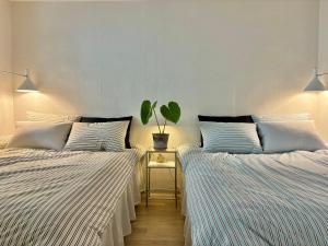 Căn Hộ 1 Phòng Ngủ (One-Bedroom Apartment)