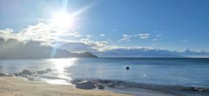 Fat Mermaid Seaside Villa