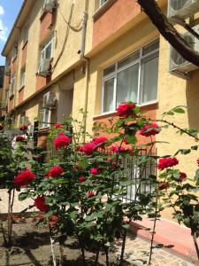 Sultanahmet Deluxe Yılmaz Apart