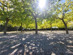 Appartements MH 4 pers Torreilles plage : photos des chambres