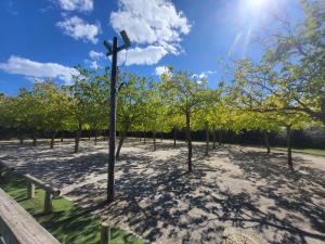 Appartements MH 4 pers Torreilles plage : photos des chambres