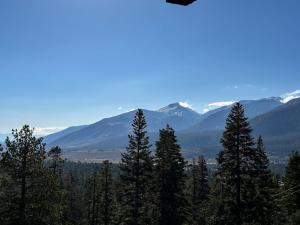 Mammoth Point #117 condo