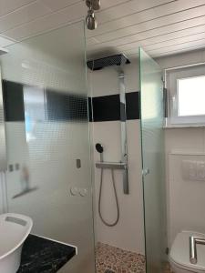 Ferienwohnung in Alpirsbach