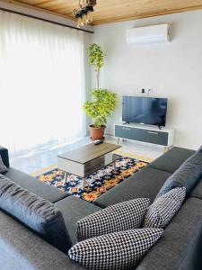 Magnificent sunset view