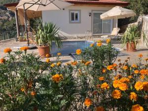 Magnificent sunset view