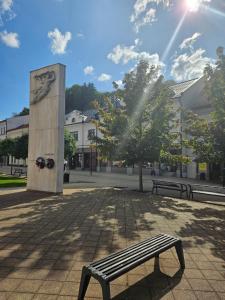 Luxury Central Square Apartment