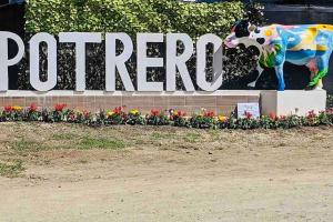 Gorgeous Beachfront Home in Playa Potrero