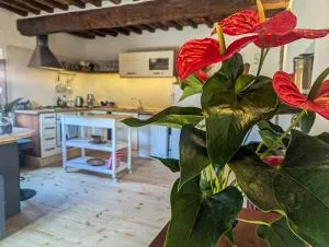 Il Palazzo, Le Fornaci - Sassetta