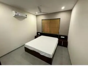 New Heaven Gold - Bārdoli