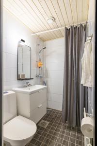 Northern Lights City Cabin