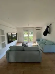 Olivier du ciel ODC - Kronenbourg