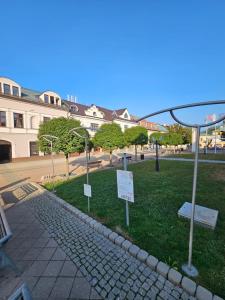 Luxury Central Square Apartment