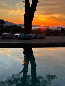 MyThea Villa by "elite"