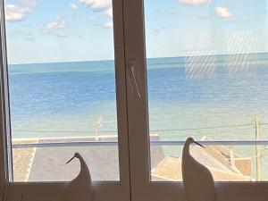 Appartements Isa mer : photos des chambres