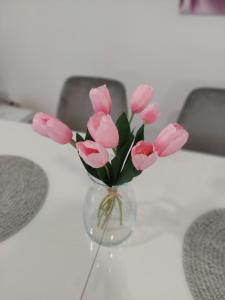 Apartman Breza lux