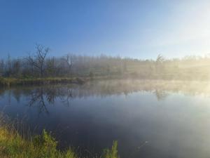Chalets Cuckoo Lake Forest Cabin : photos des chambres