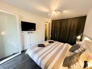 Appartements Le jardin secret - Colmar - WIFI : photos des chambres