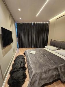 Tirana Apartment kdk