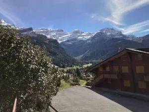 Delightful one bedroom apartment in Les Diablerets - Les Diablerets
