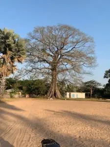 Le WORA - Kafountine