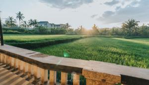 The Paddies Villa #1