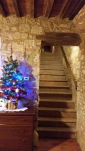 Dago House between hill and sea in tuscany