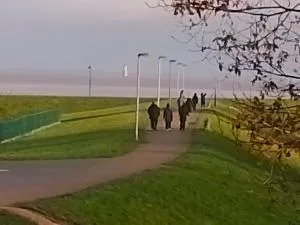 watn Meerblick-Nordseepark Dangast, 2Schlafzimmer,2Bäder,Kamin,Parkplatz - Dangast