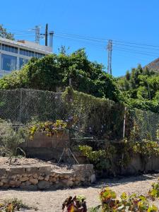 Tantulia la casita del Caballo